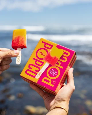 Springtime essentials: a box of Mini Pops to share with your people 🥭🍓

Thanks @eatsofally for these pics!

#POPCO #BetterForYou #AllNatural #LocalProduce